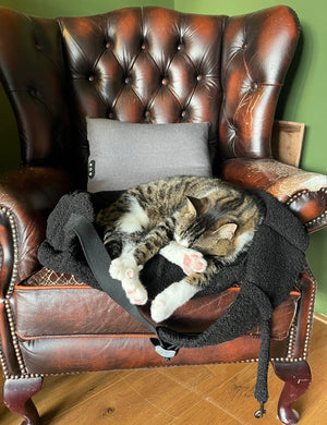 Waarom een draagzak voor je kat een slimme keuze is