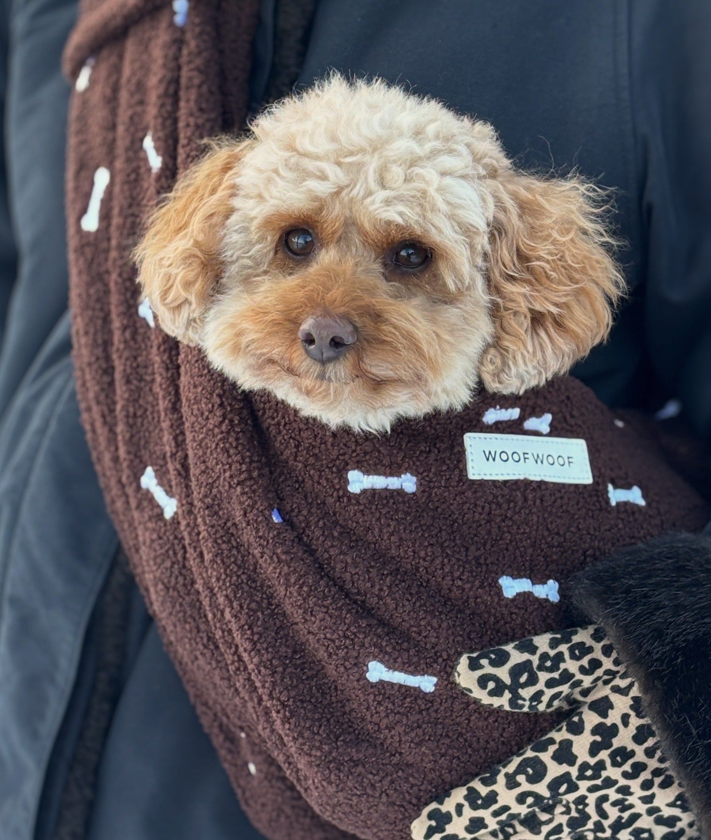 HONDEN DRAAGZAK BRUIN met botjes